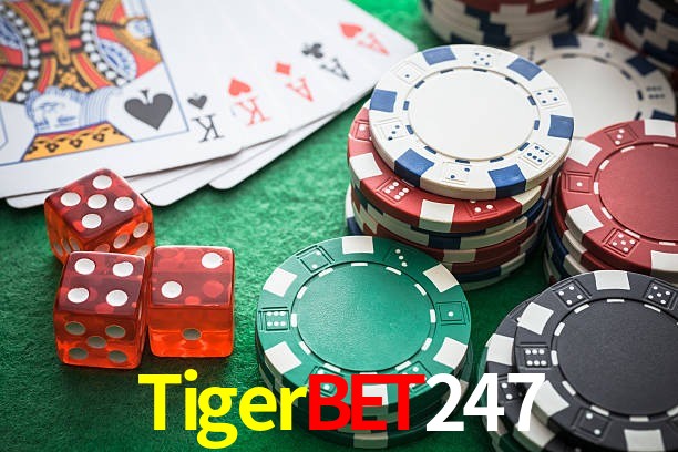 TigerBet247 Live Score