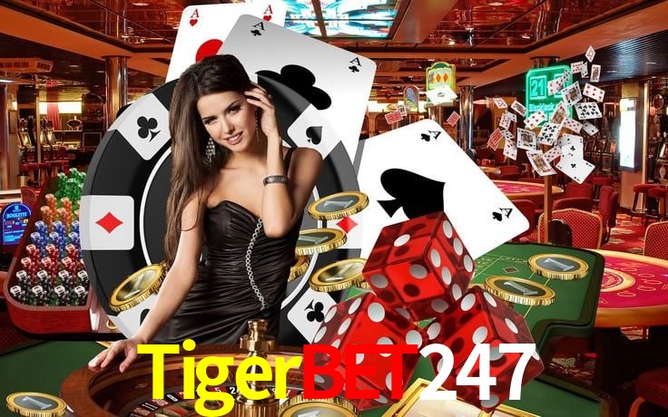 TigerBet247 Información confiable