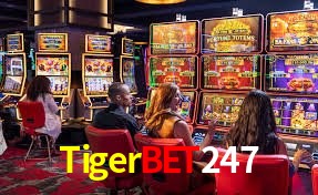TigerBet247 ¿Qué información cubre esta sección de preguntas frecuentes?
